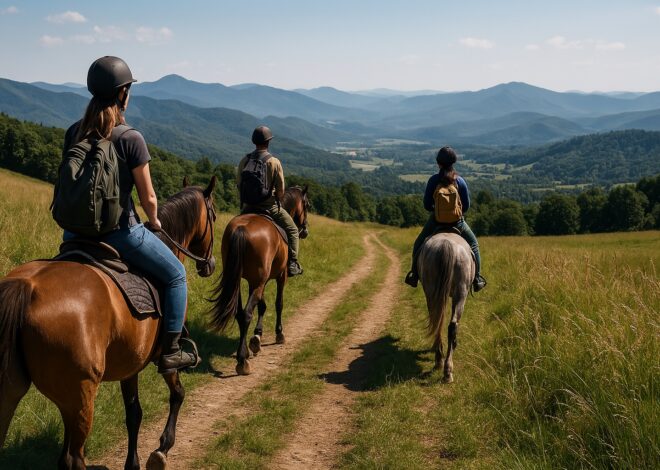 Конные прогулки и туризм в России: лучшие маршруты